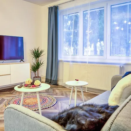 5 Min To Everything-stylish-modern-old Center * Brasov