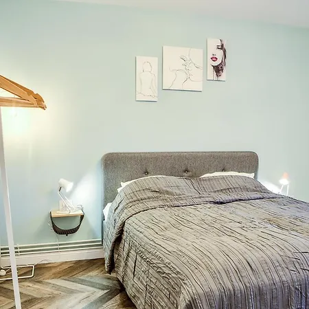 Apartment 5 Min To Everything-stylish-modern-old Center Brasov