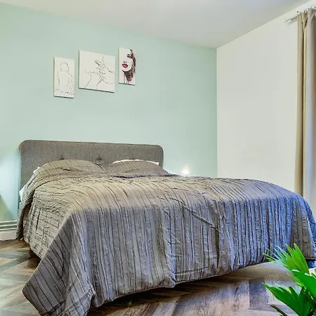 Apartment 5 Min To Everything-stylish-modern-old Center Brasov